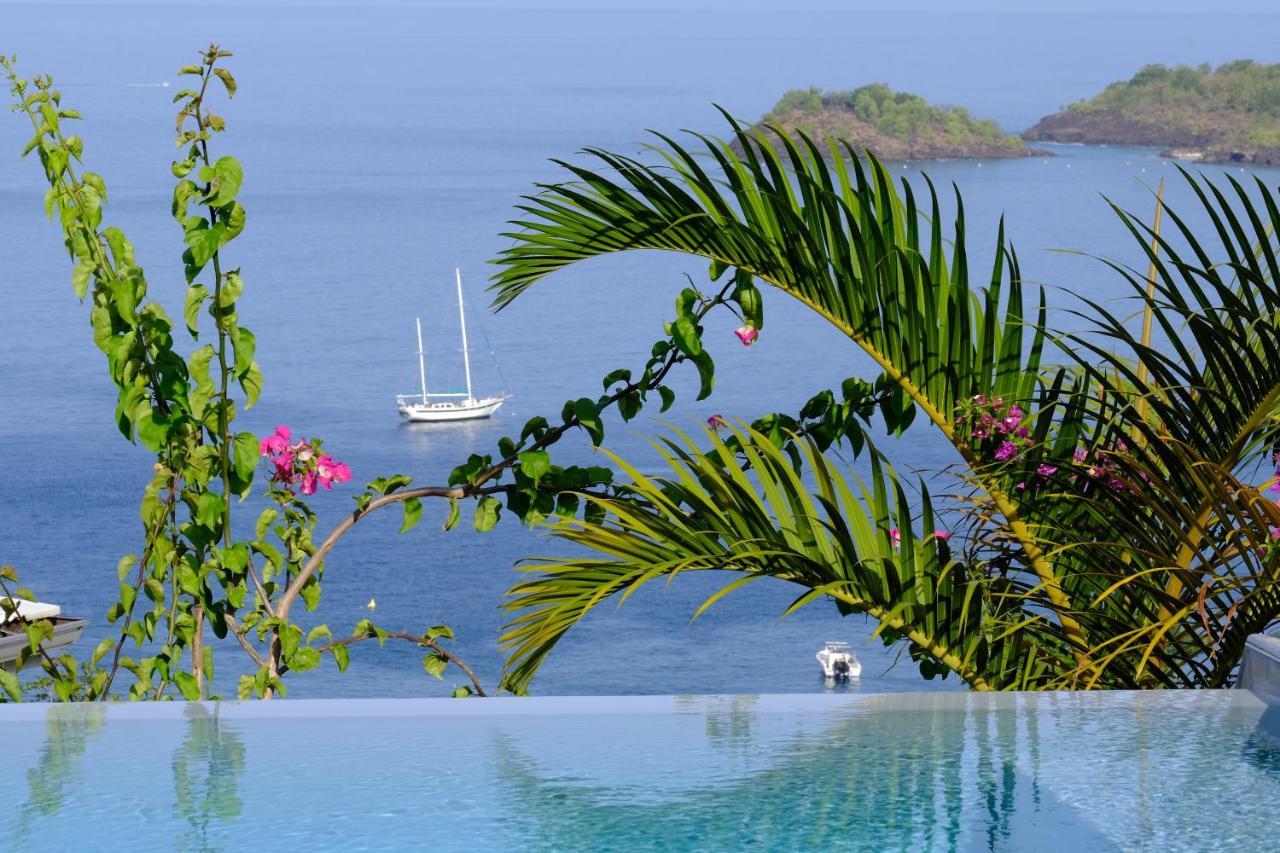 Sunset Palm - Villa Creole Avec Piscine Face Au Coucher De Soleil Et A La Reserve Cousteau ブイヤント エクステリア 写真