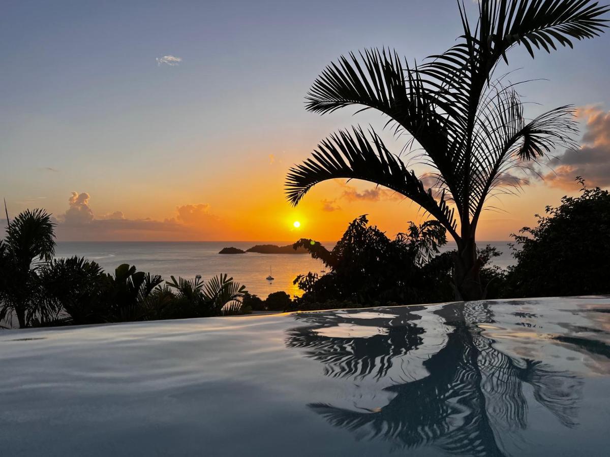 Sunset Palm - Villa Creole Avec Piscine Face Au Coucher De Soleil Et A La Reserve Cousteau ブイヤント エクステリア 写真